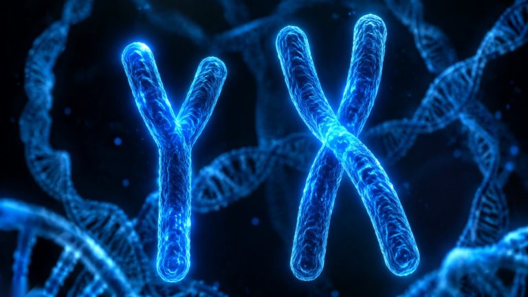 Какие болезни передаются от отца: Y-хромосома, X-сцепленные и de novo мутации